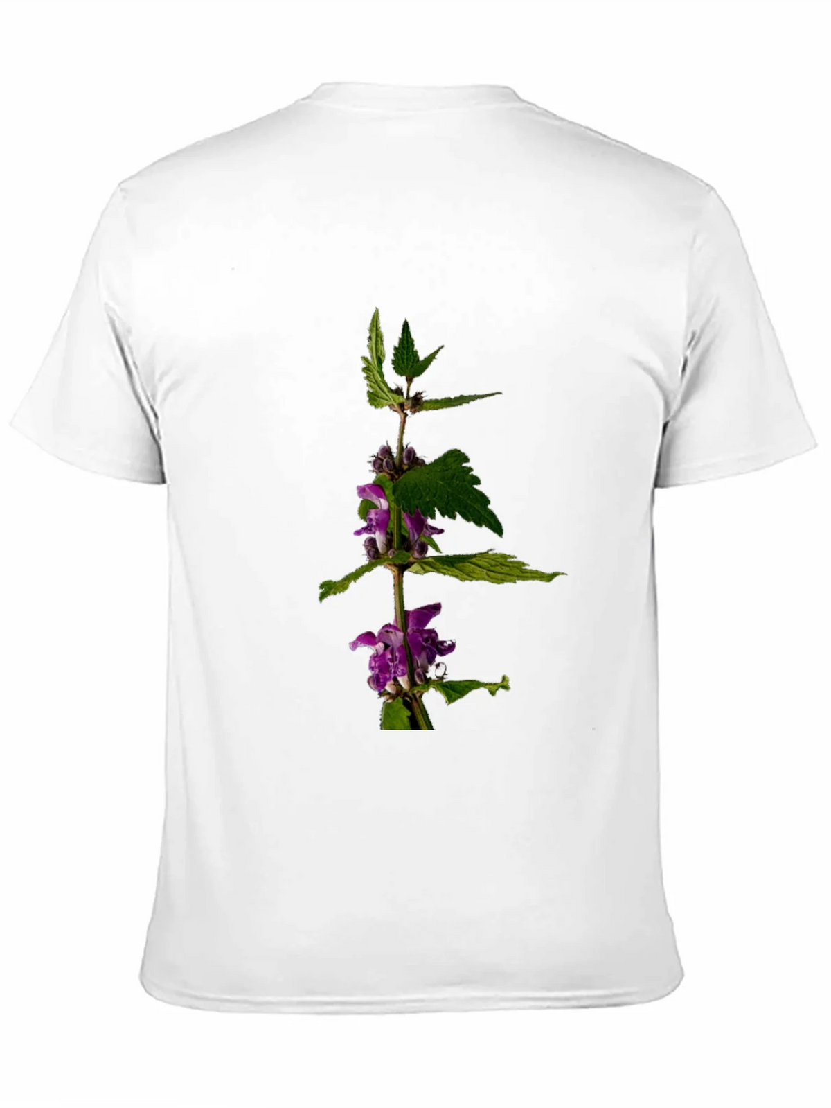 Botanical Print T-Shirt product image 10