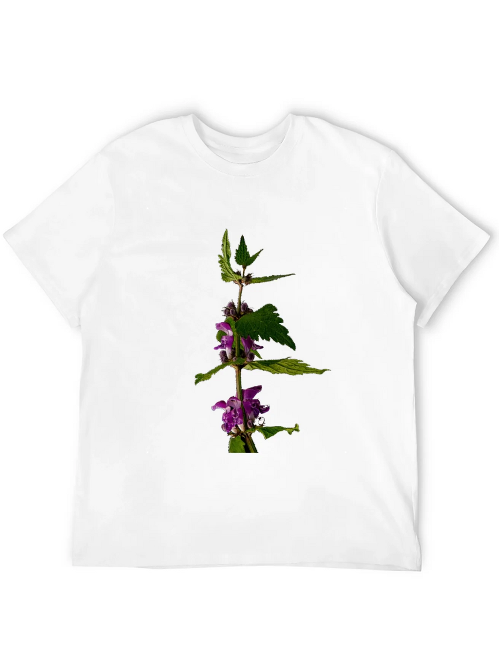 Botanical Print T-Shirt product image 11