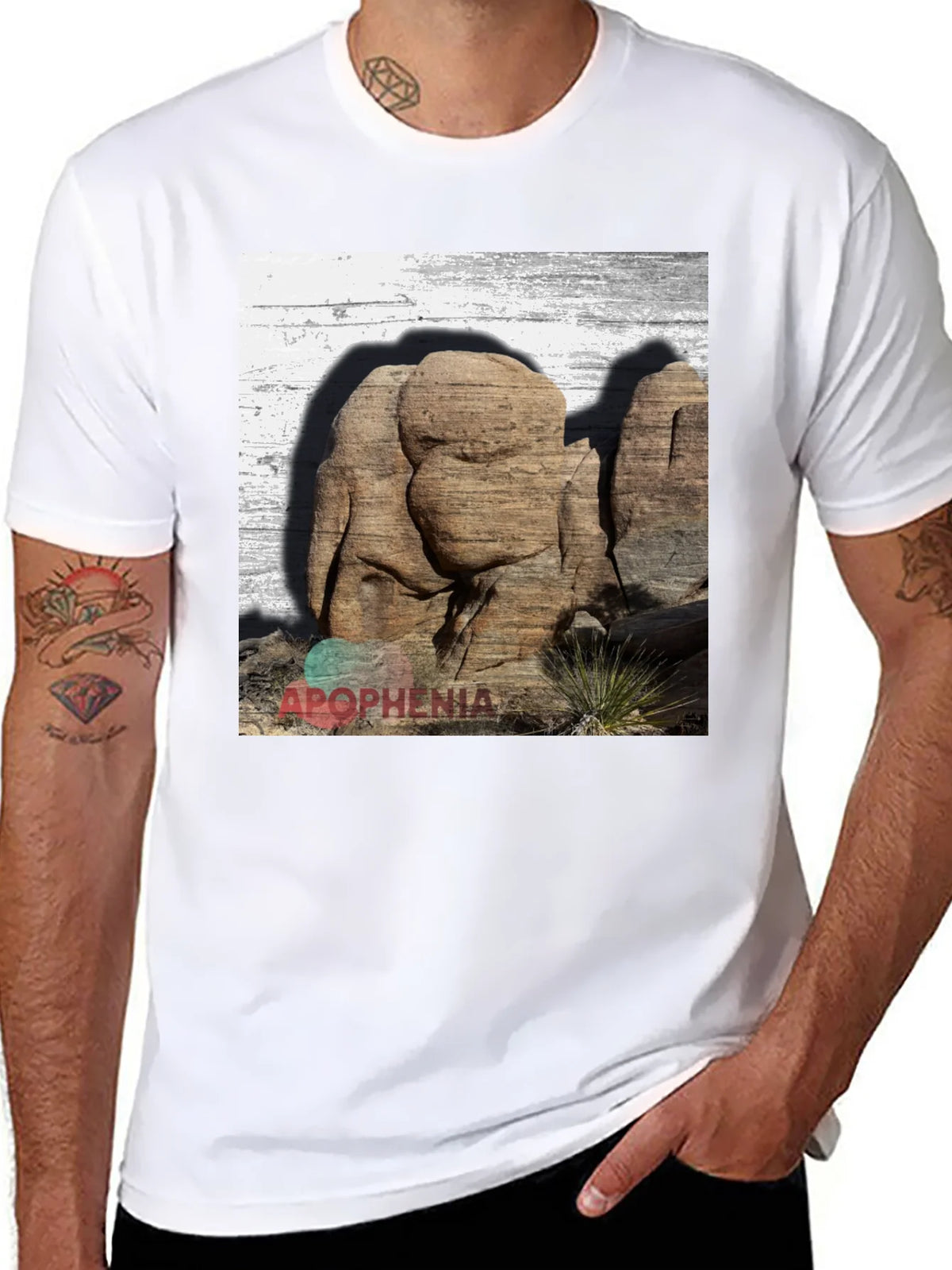 Apophenia Desert Rocks Graphic Tee - Black product image 6
