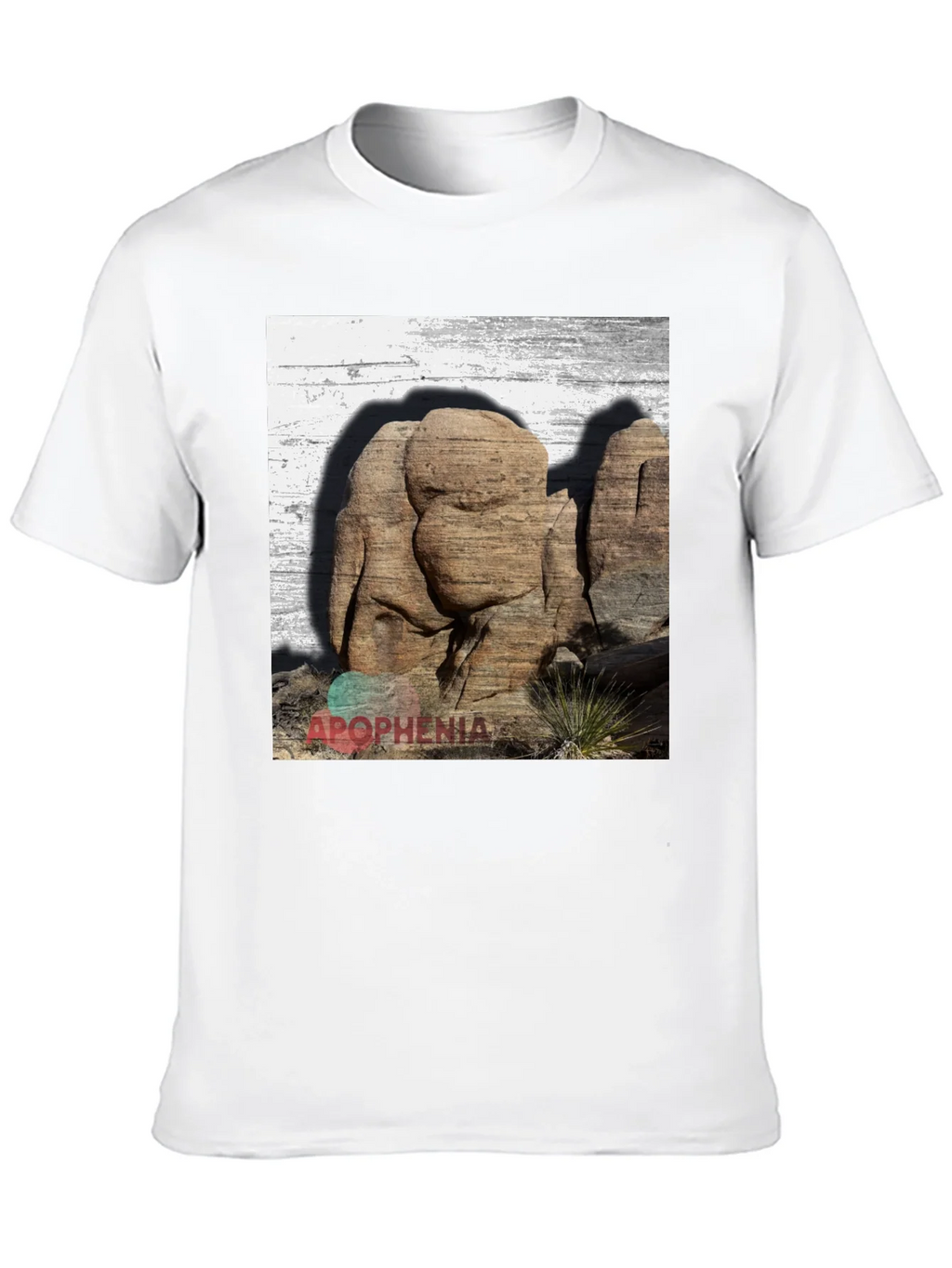 Apophenia Desert Rocks Graphic Tee - Black product image 8