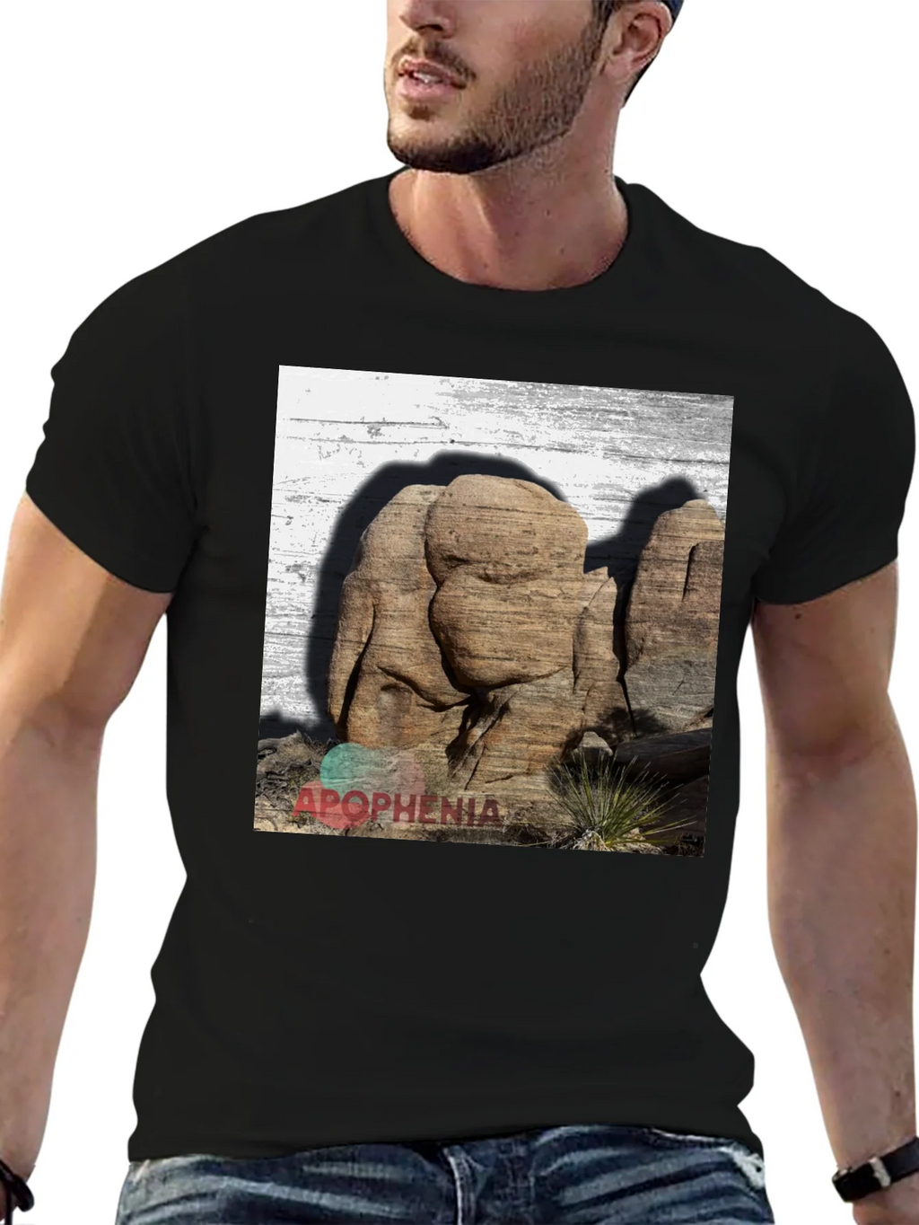 Apophenia Desert Rocks Graphic Tee - Black product image 5
