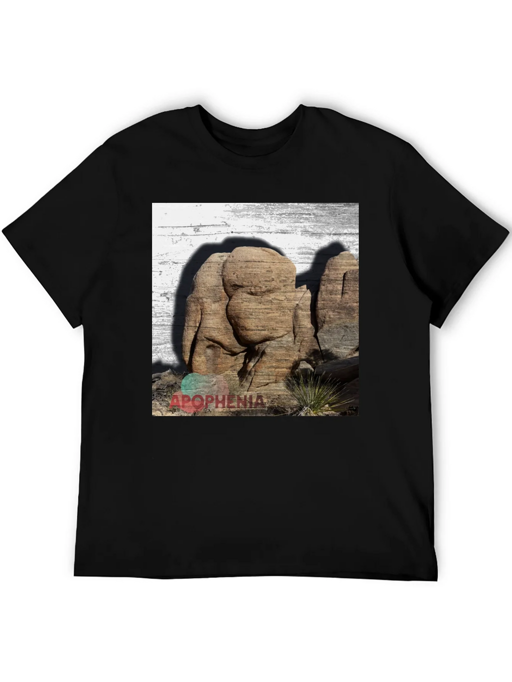Apophenia Desert Rocks Graphic Tee - Black product image 4