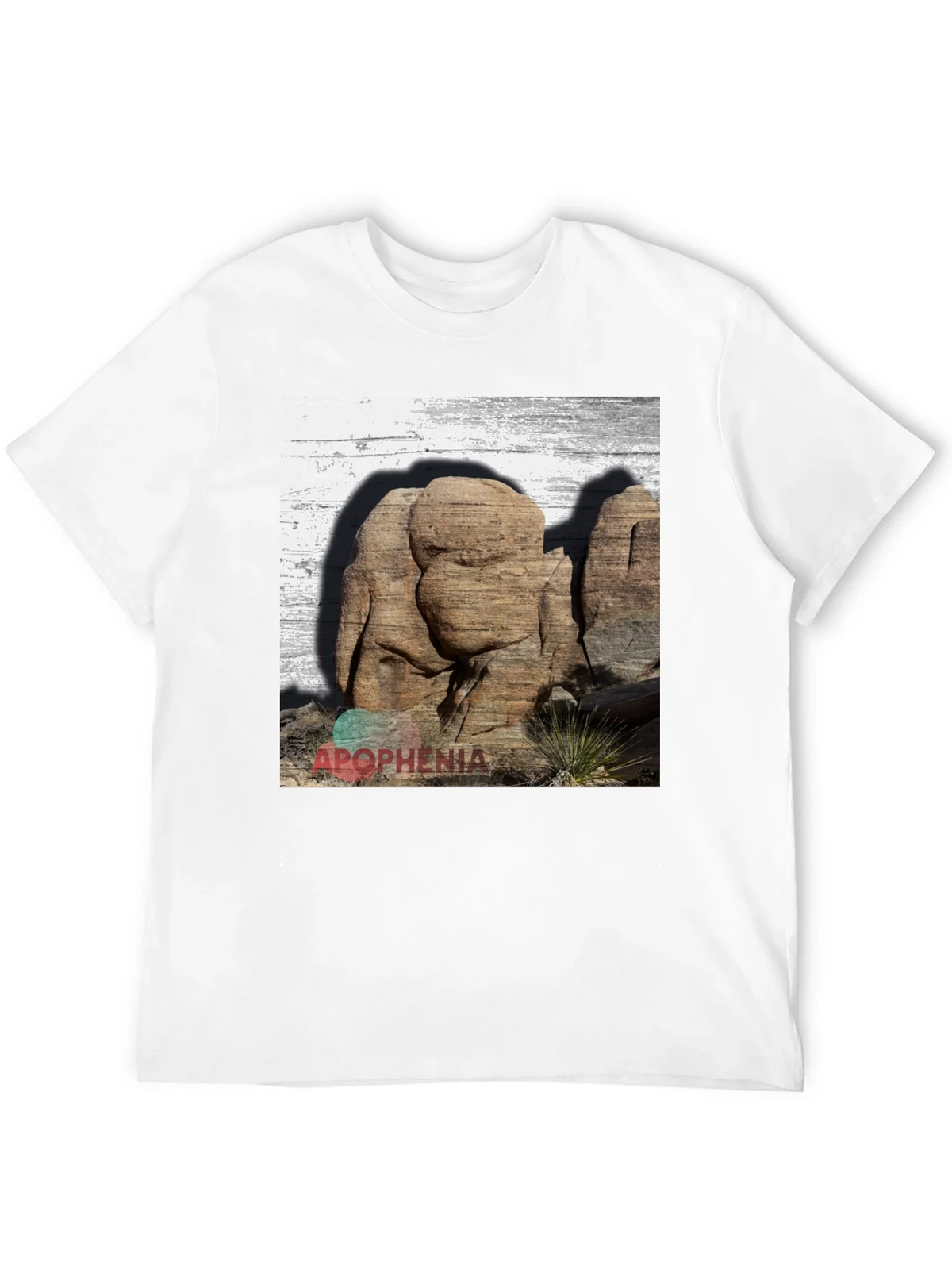 Apophenia Desert Rocks Graphic Tee - Black product image 10