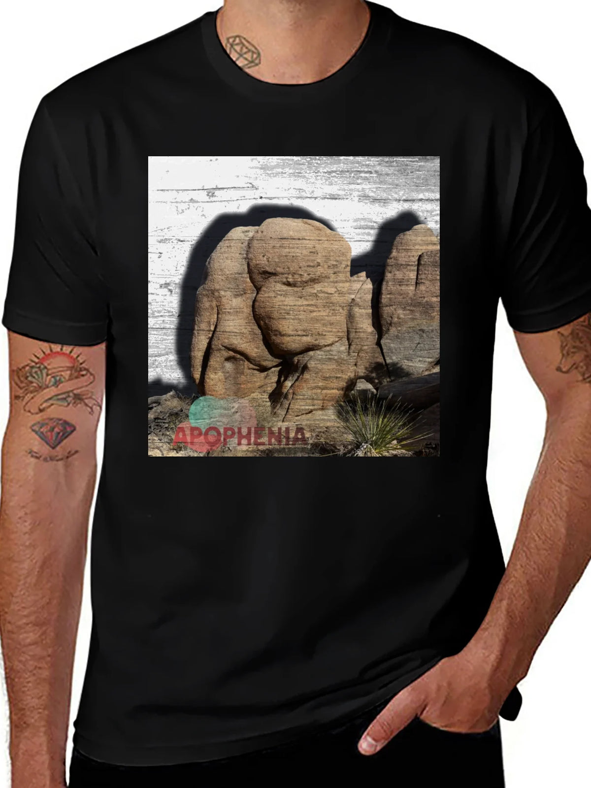 Apophenia Desert Rocks Graphic Tee - Black product image 1
