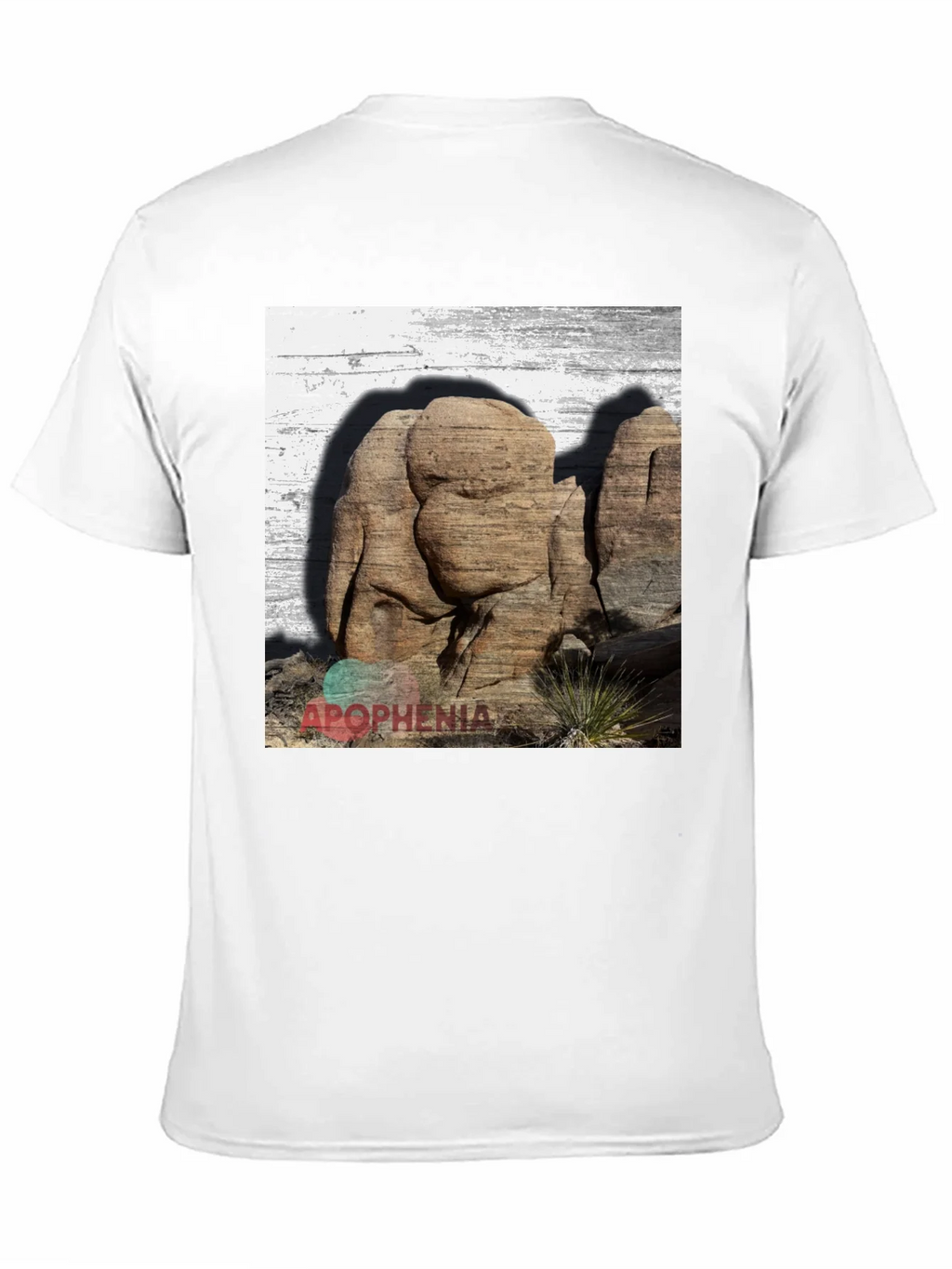 Apophenia Desert Rocks Graphic Tee - Black product image 9