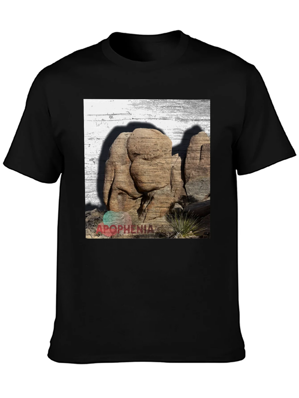 Apophenia Desert Rocks Graphic Tee - Black product image 2