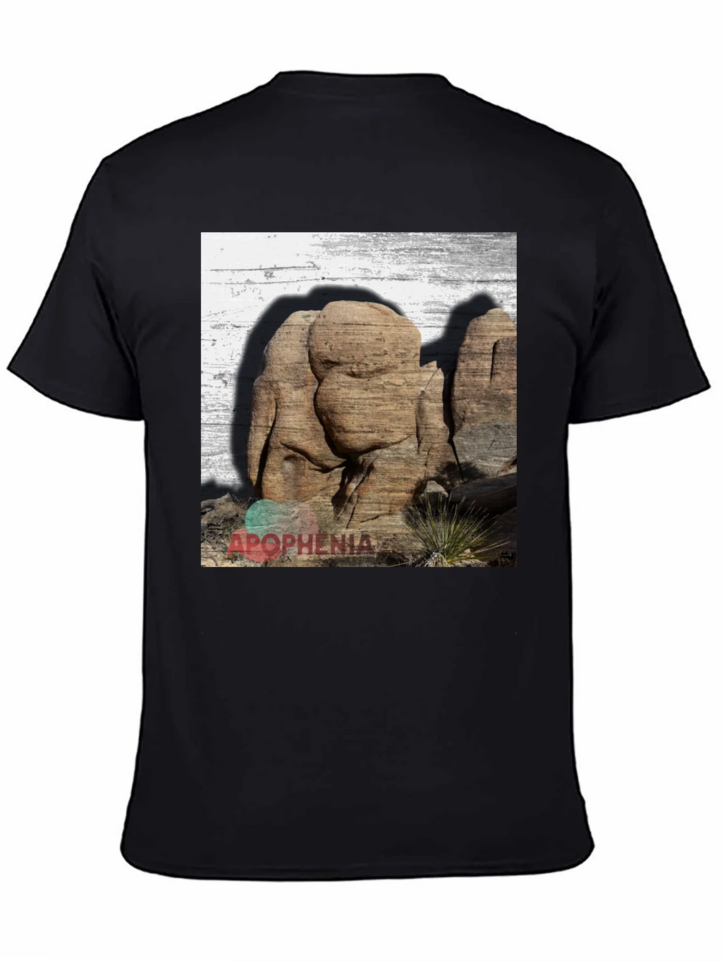 Apophenia Desert Rocks Graphic Tee - Black product image 3